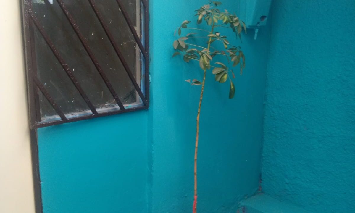 Imagen de WhatsApp 2025-11-11 a las 18.03.01_2303d1ce