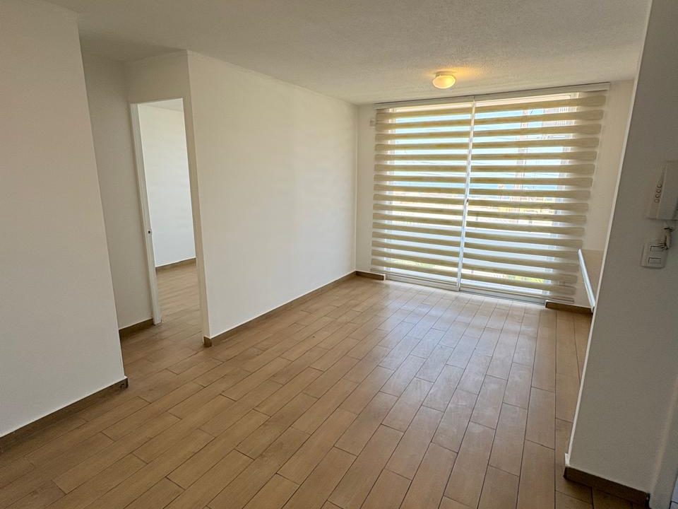 WhatsApp Image 2026-02-11 at 10.19.33